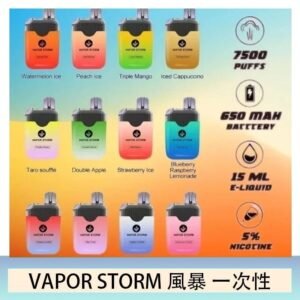 Vapor Storm風暴電子煙7500口(5%)一次性